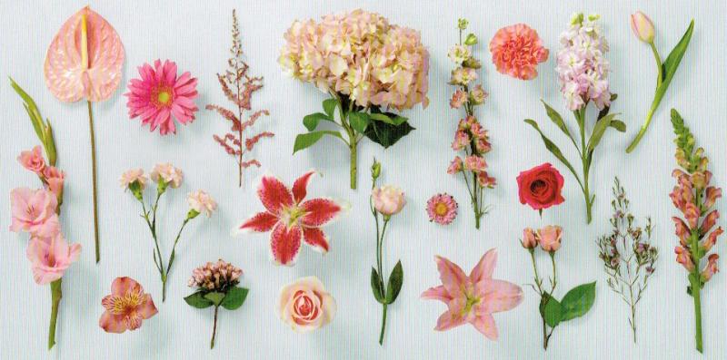 A Florist’s Flower Guide for Guys
