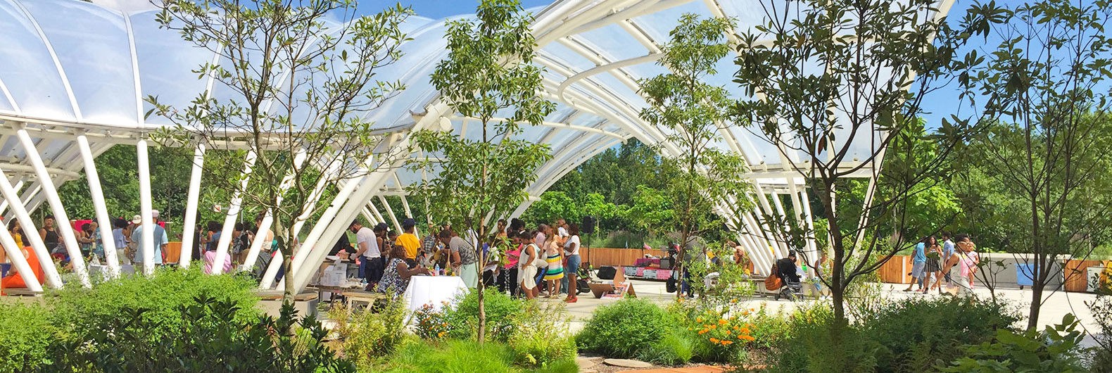 NYC Rooftop Garden Brings Environmental Ethics to a Generation