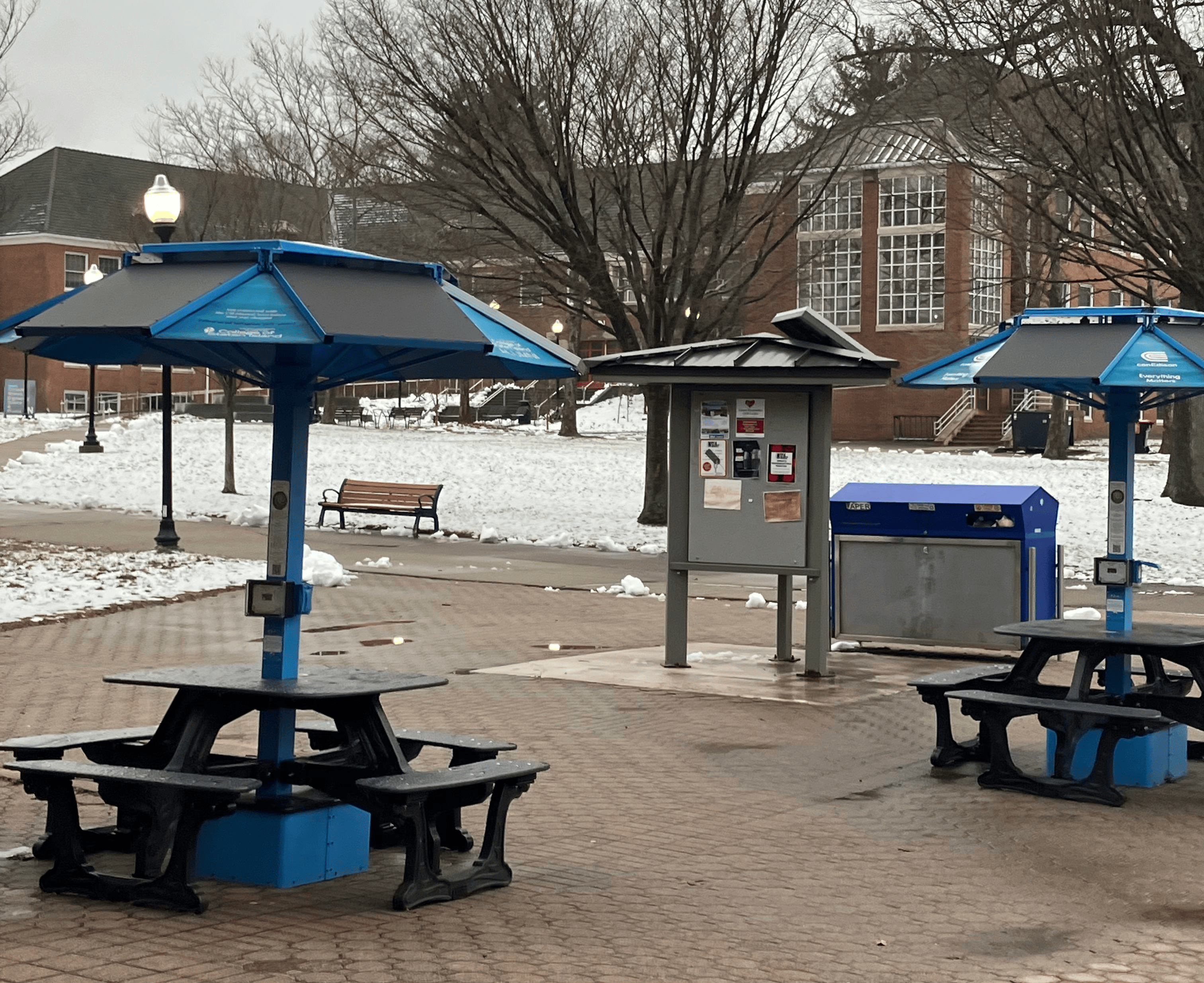 Reflecting on a Different Winter on Campus