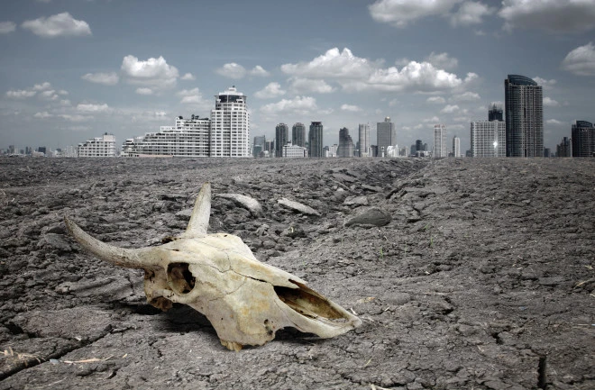 We have done wildlife protection all wrong: let them die. 