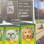 Walking the path to suicide prevention&nbsp;