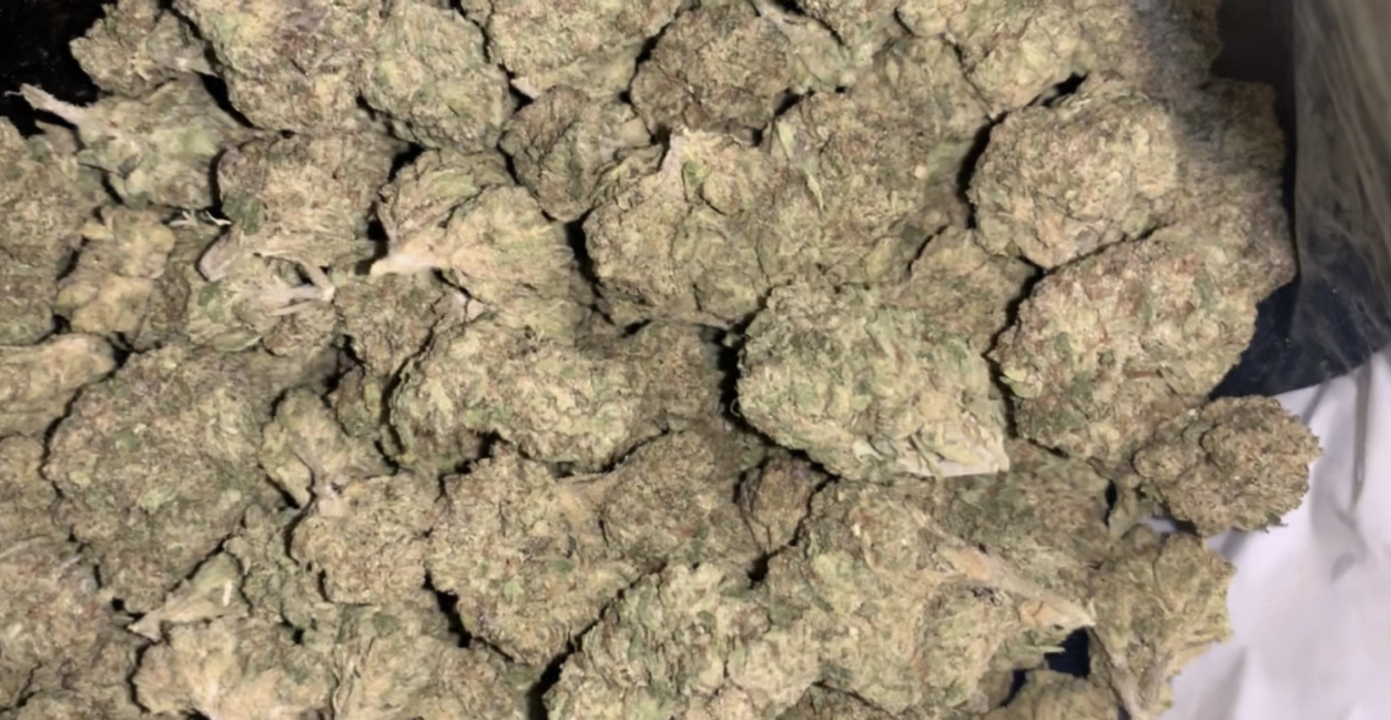 Puff, Puff, Psychosis: The Adverse Effects Of Heavy Cannabis Use